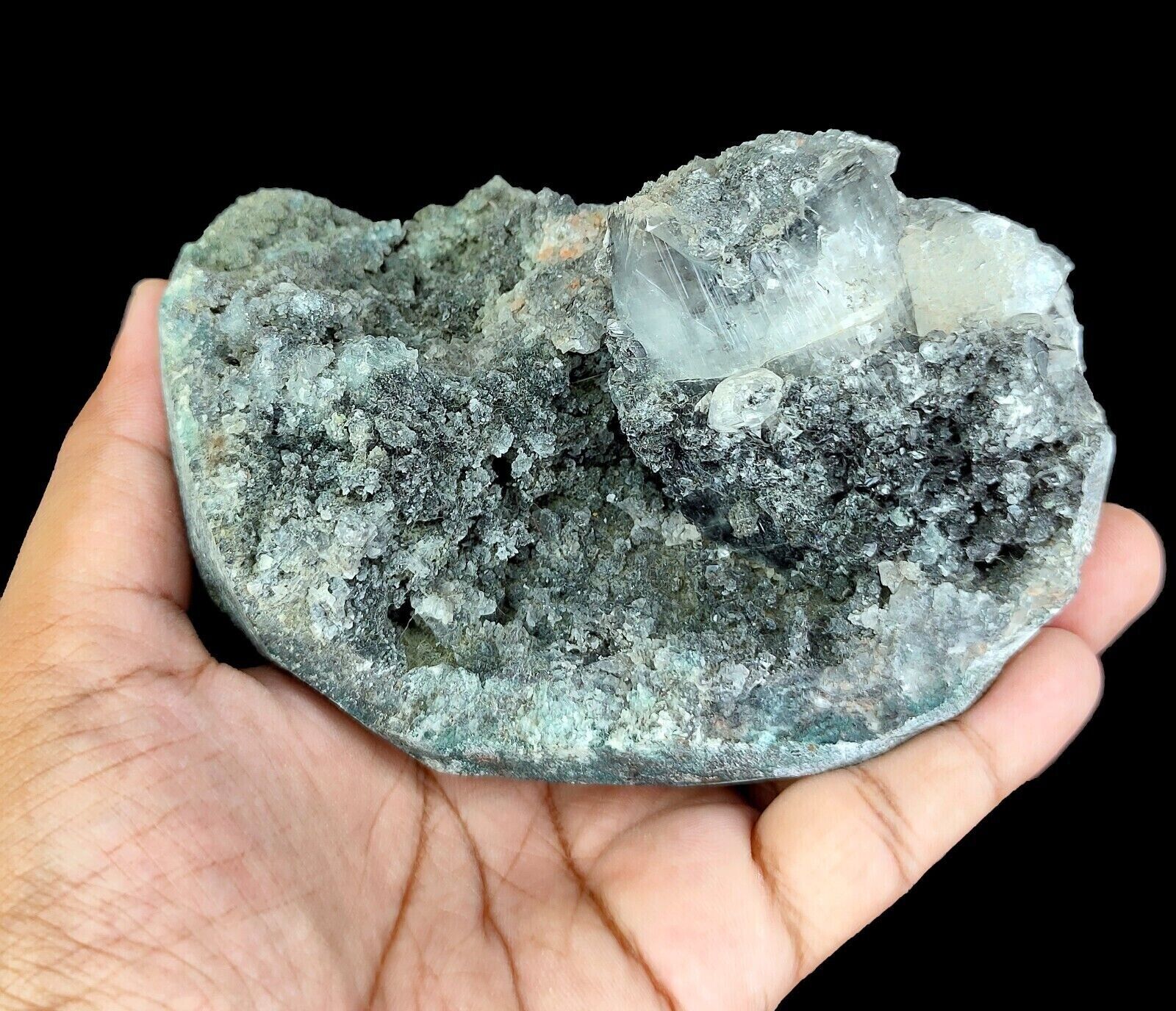 1.64 LB Superb Natural Apophyllite On Black Coral Chalcedony - India
