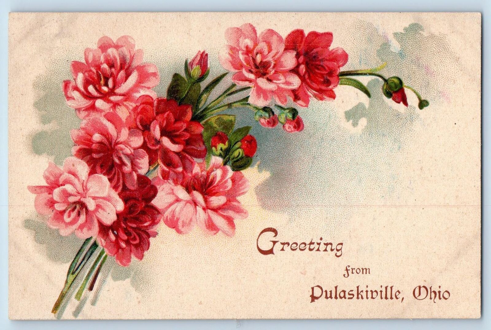 Pulaskiville Ohio OH Postcard Greetings Buds Flowers And Leaves 1908 Antique