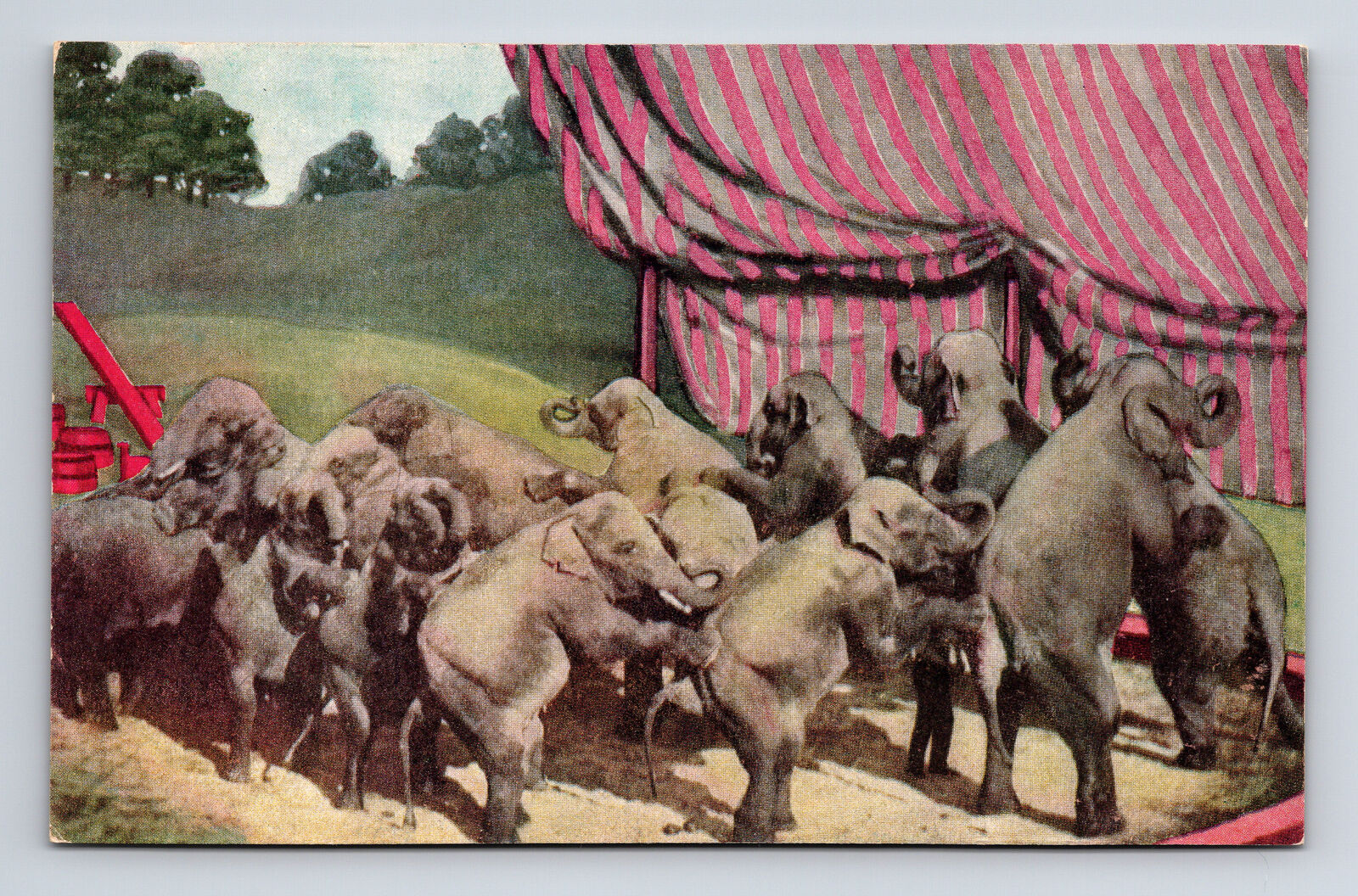 1908 Ringling Bros Menagerie Performing Elephants Postcard