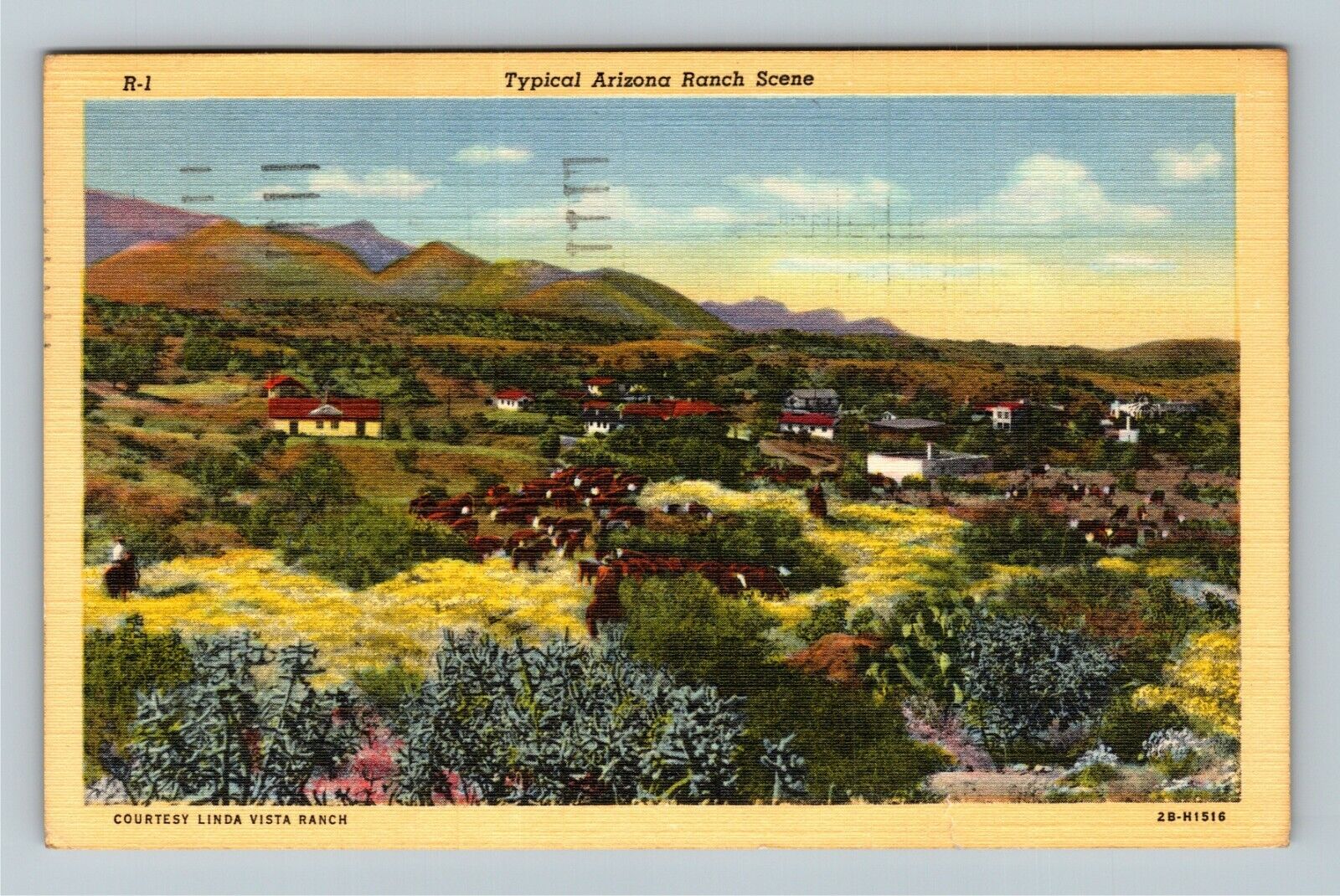 Typical Arizona Ranch Scene c1949 Vintage Souvenir Postcard