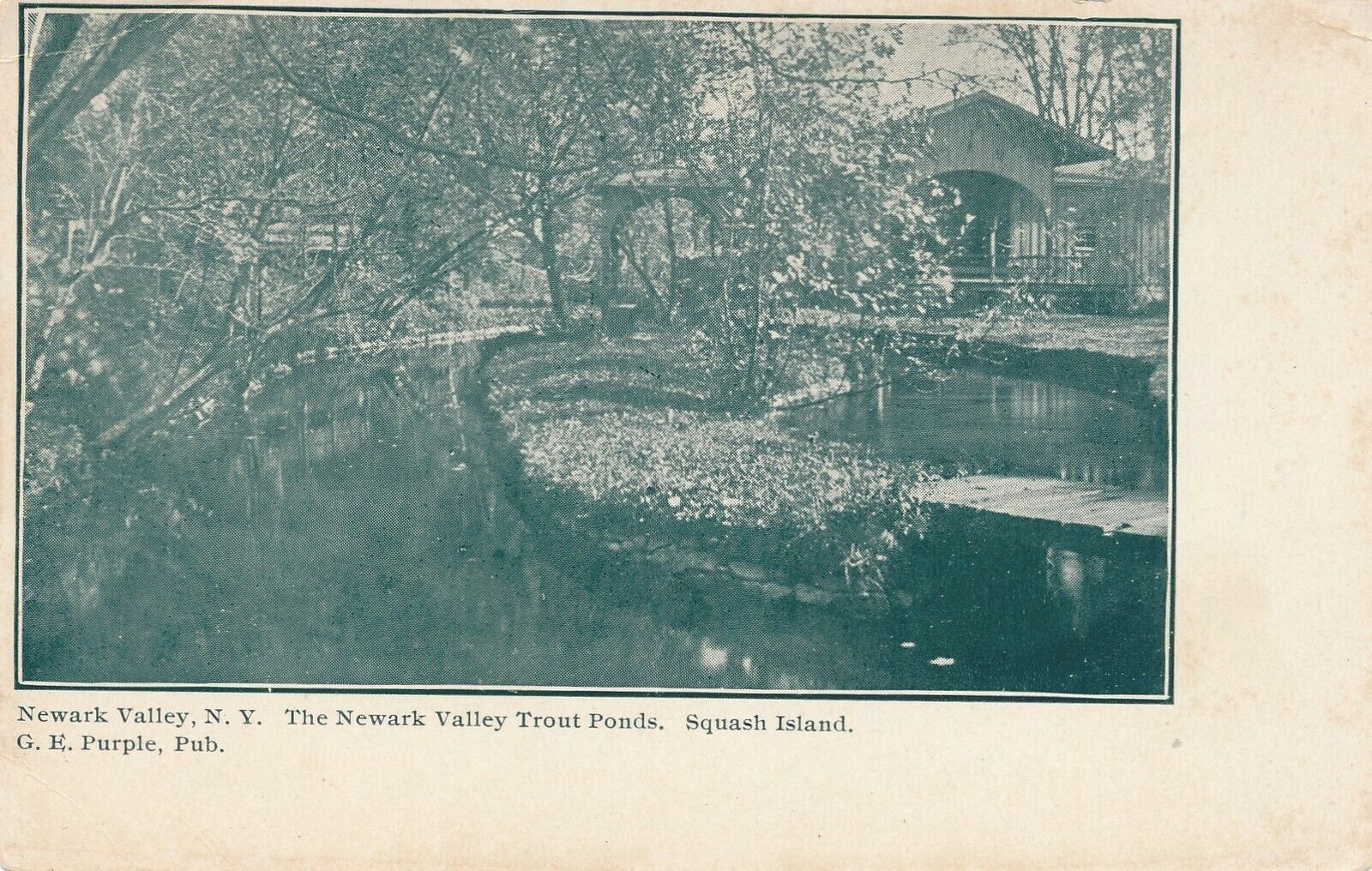 NEWARK VALLEY NY – Squash Island Newark Valley Trout Ponds – udb (pre 1908)