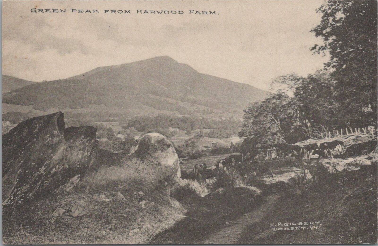 Postcard Green Peak from Harwood Farm Dorset VT Vermont 