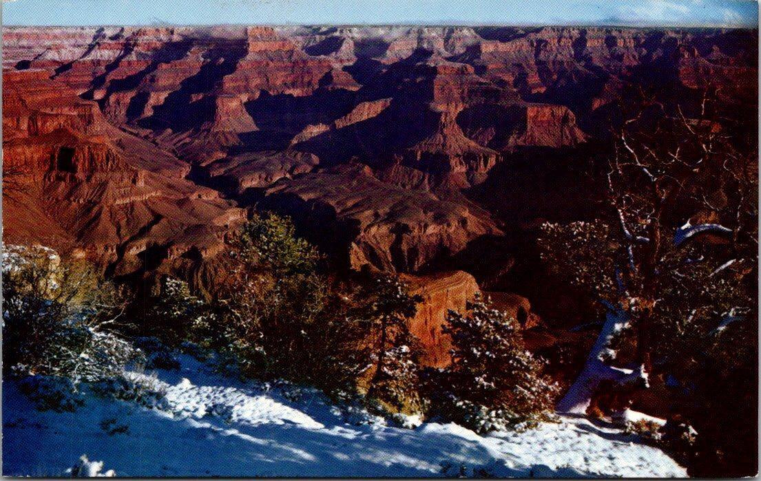 Vintage Grand Canyon AZ Along West Rim Postcard Posted 1965