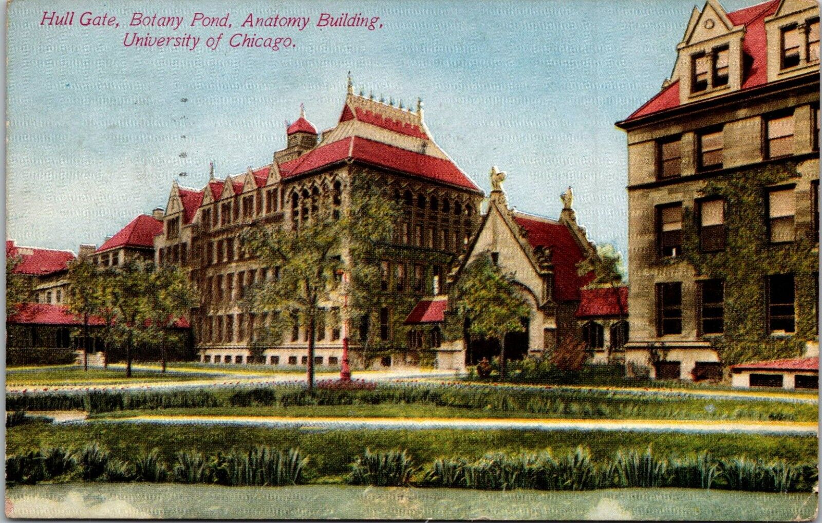 Hull Gate, Botany Pond, Anatomy Building, University of Chicago Antique Postcard