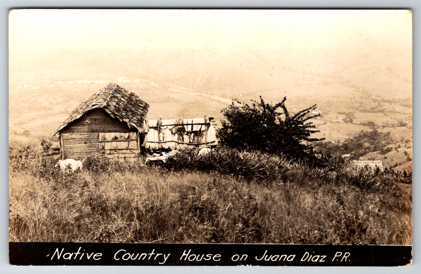 RPPC Native Country House Juana Diaz Puerto Rico c1910s Postcard