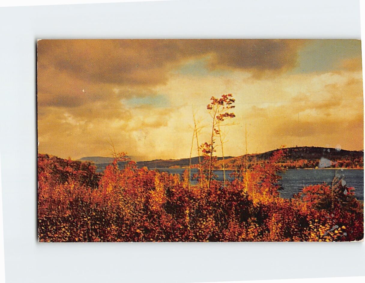 Postcard Autumn Scene Lake Winnipesaukee New Hampshire USA