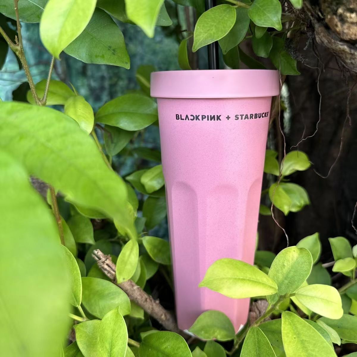 Starbucks X BLACK PINK Co-Branded Cute Pink Straw Cold Drink Mug Holiday Gift