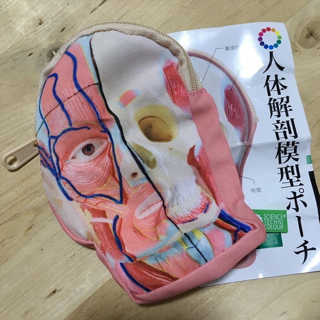 Small pouch printed with human anatomical model-Head Brain Eye Tooth etc [NEW]