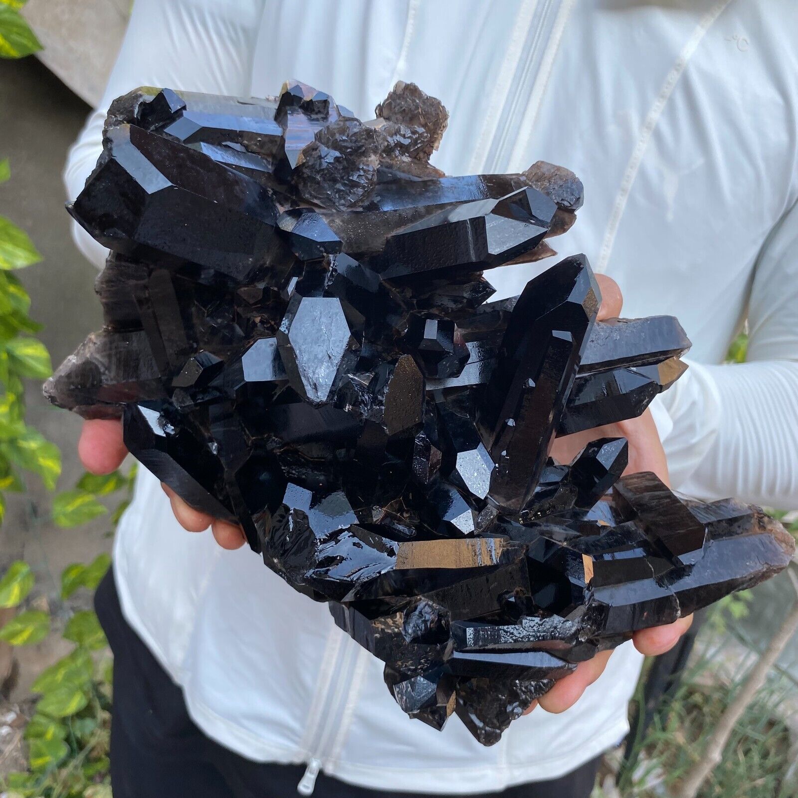 5.4lb Large Natural Black Smoky Quartz Crystal Cluster Rough Mineral Specimen