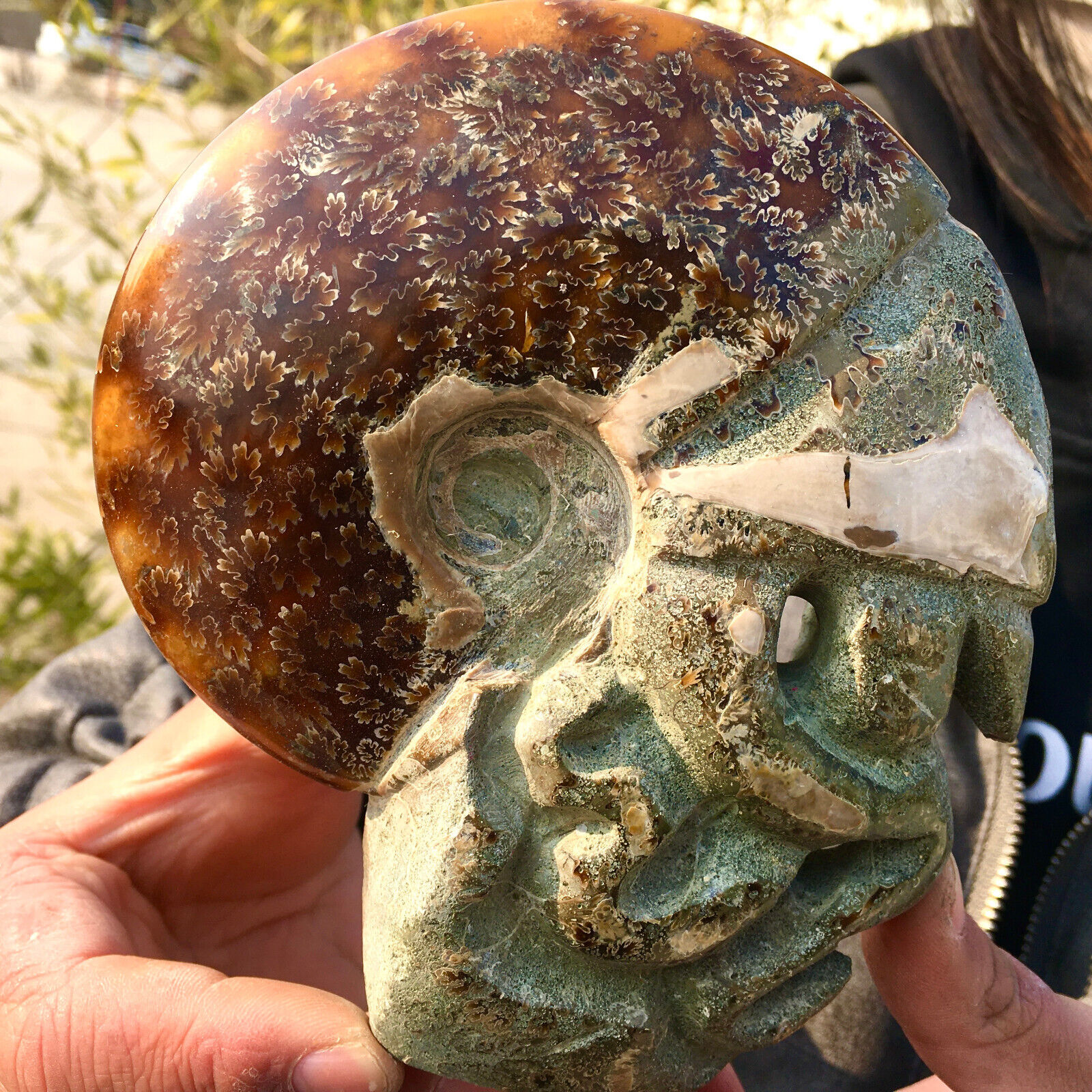 1.15LB Rare Natural Tentacle Ammonite FossilSpecimen Shell Healing Madagas