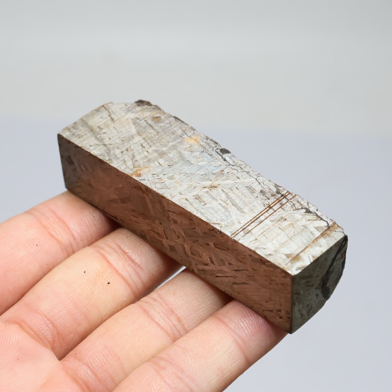 165g  Muonionalusta meteorite part slice C6436