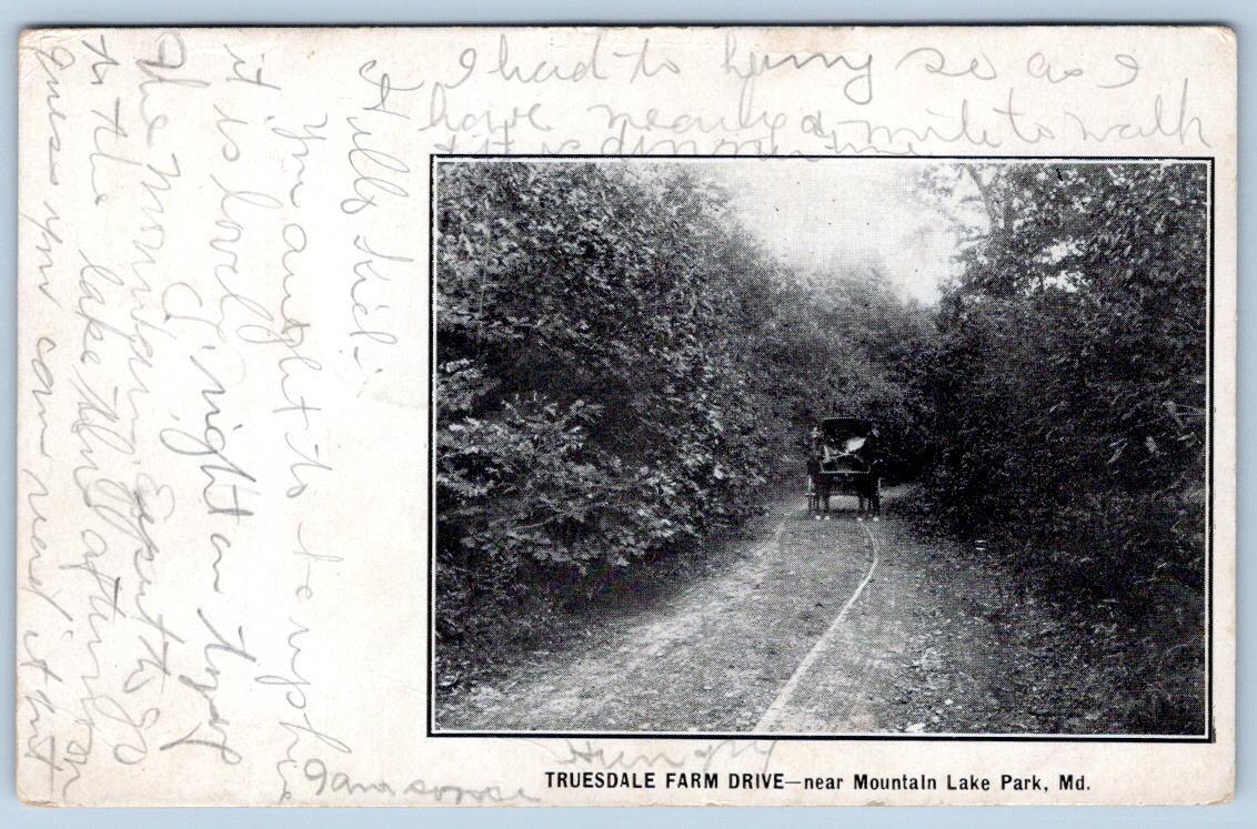 Pre-1906 MOUNTAIN LAKE PARK MD TRUESDALE FARM DRIVE HORSE & BUGGY POSTCARD