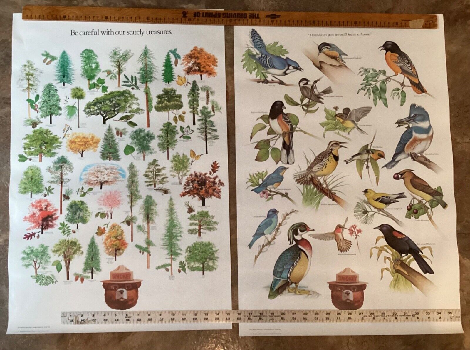 2 Vintage 1980’s Forrest Service Smokey the Bear Birds & Trees Posters 20\