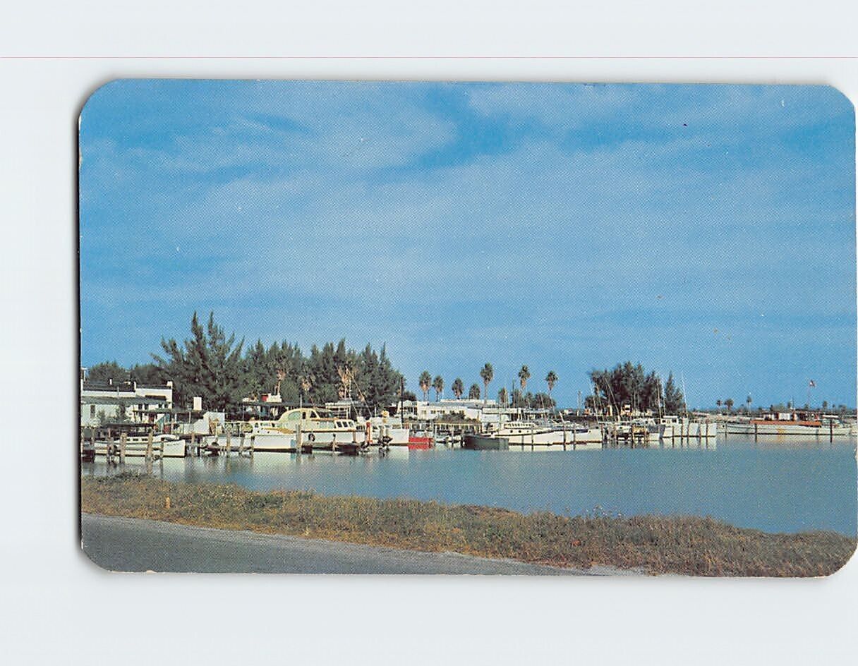 Postcard Yacht Basin & Docks Clearwater Beach Florida USA