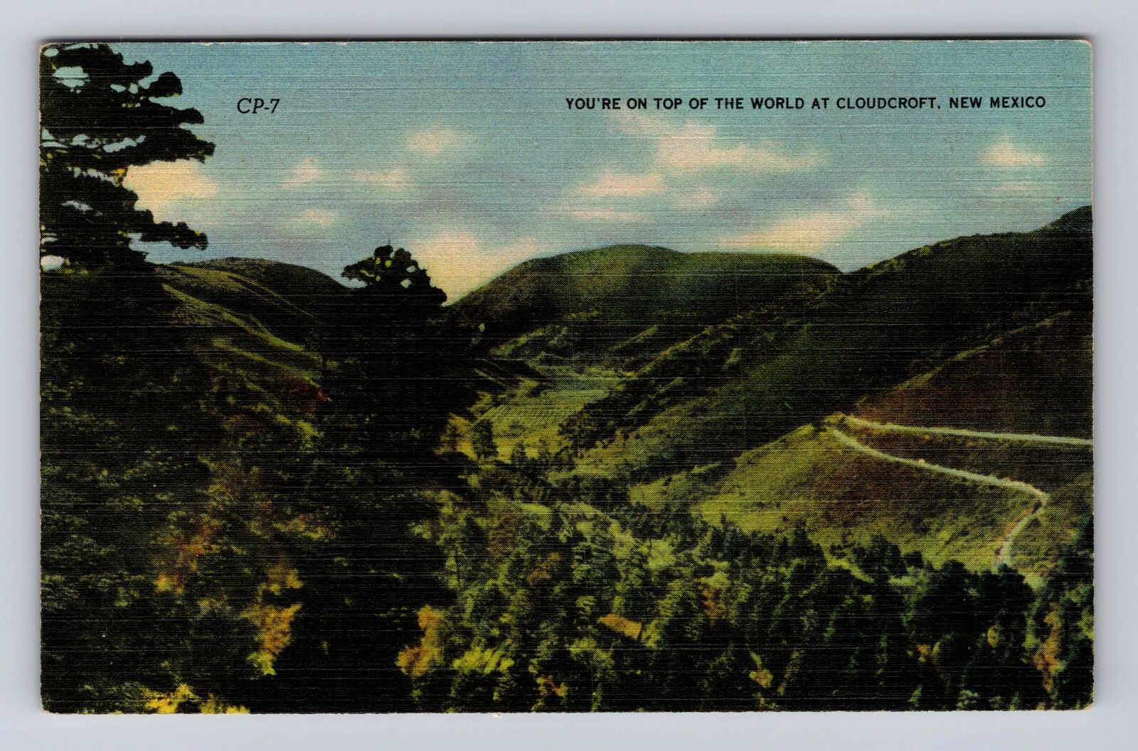 Cloudcroft NM- New Mexico, Aerial Of Forest Area, Antique, Vintage Postcard