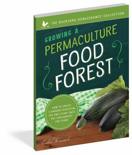 Growing a Permaculture Food Forest: How to Create a Garden Ecosystem You Only Pl