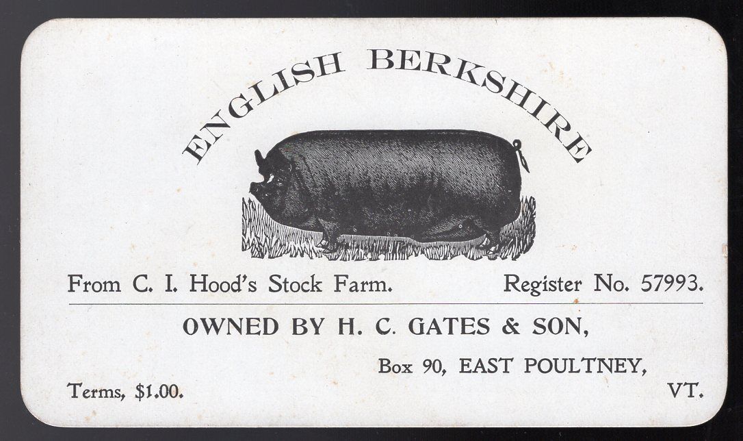 USA East Poultney Vt 1890s Business Card Advertising English Berkshire Pig Farm 