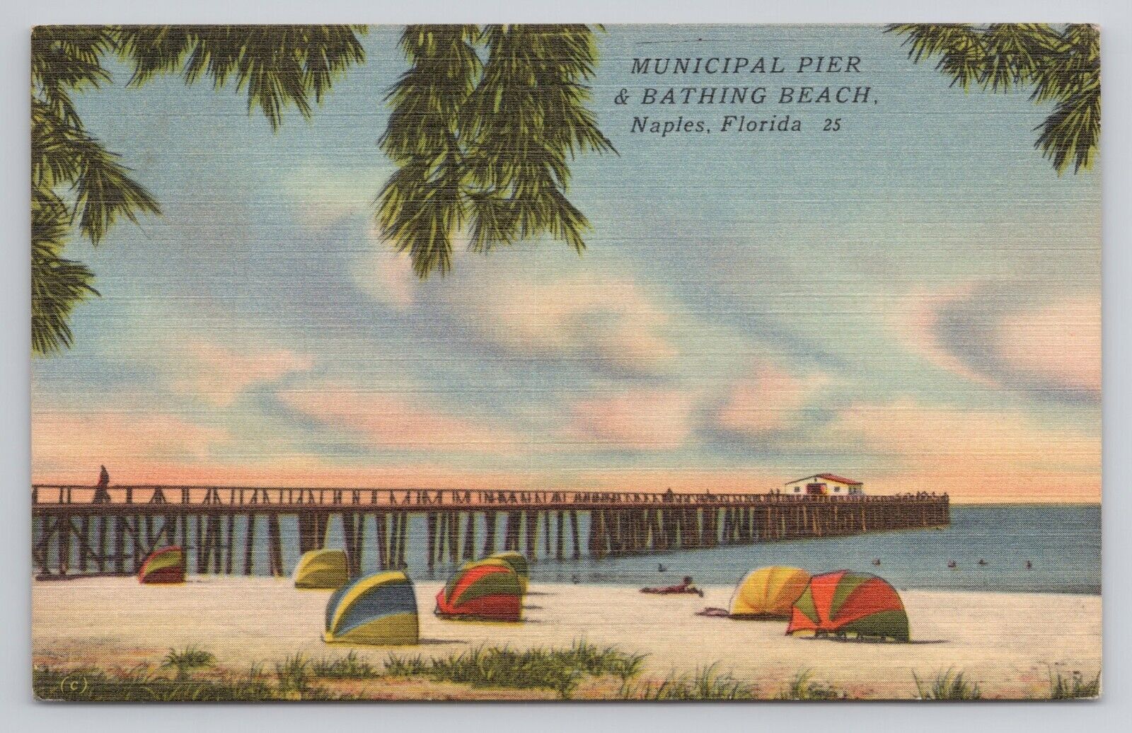 Municipal Pier & Bathing Beach Naples Florida Linen Postcard No 5911