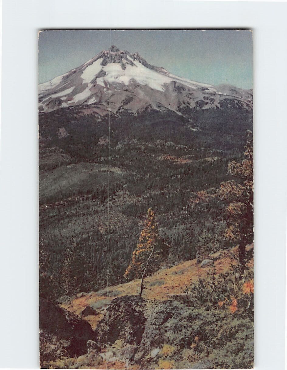 Postcard Mt. Jefferson Oregon USA