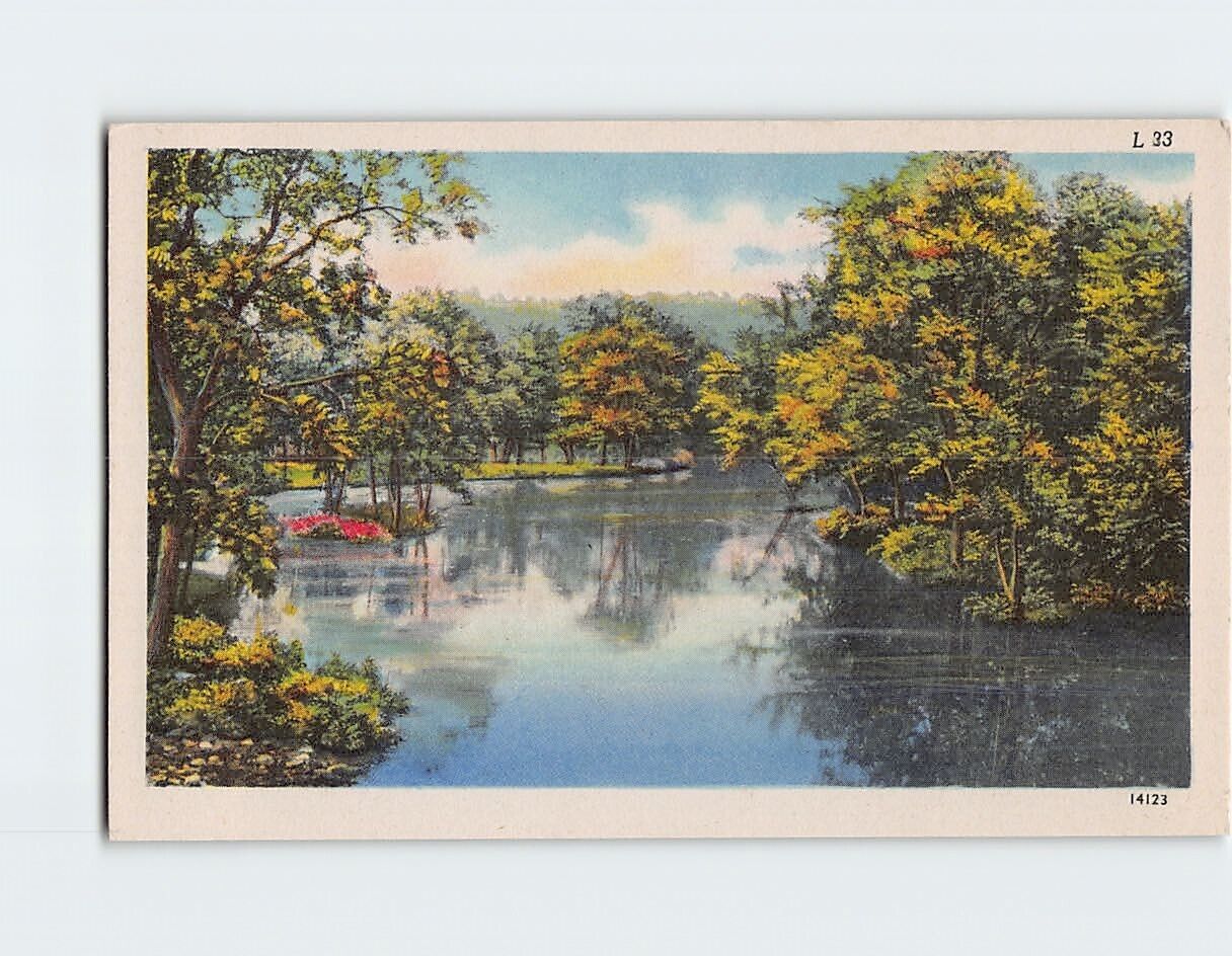 Postcard Nature & Lake Scenery