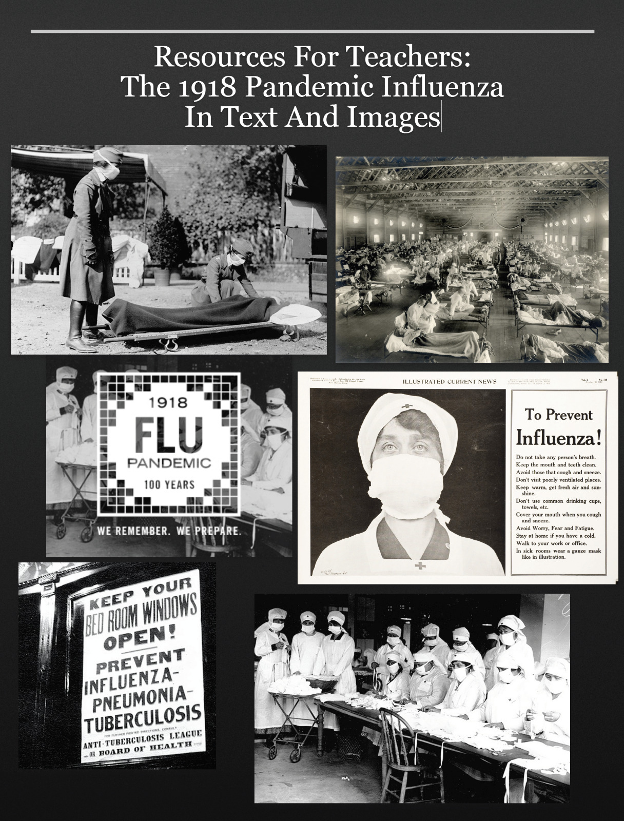 586 Page 1918 Spanish Flu Pandemic Influenza Teacher Resources Book on Data CD