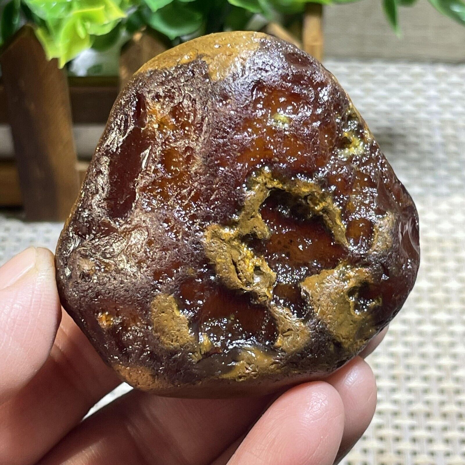 Top Bonsai Suiseki-Natural Gobi Agate Eyes Stone-Rare Stunning Viewing 132g A238