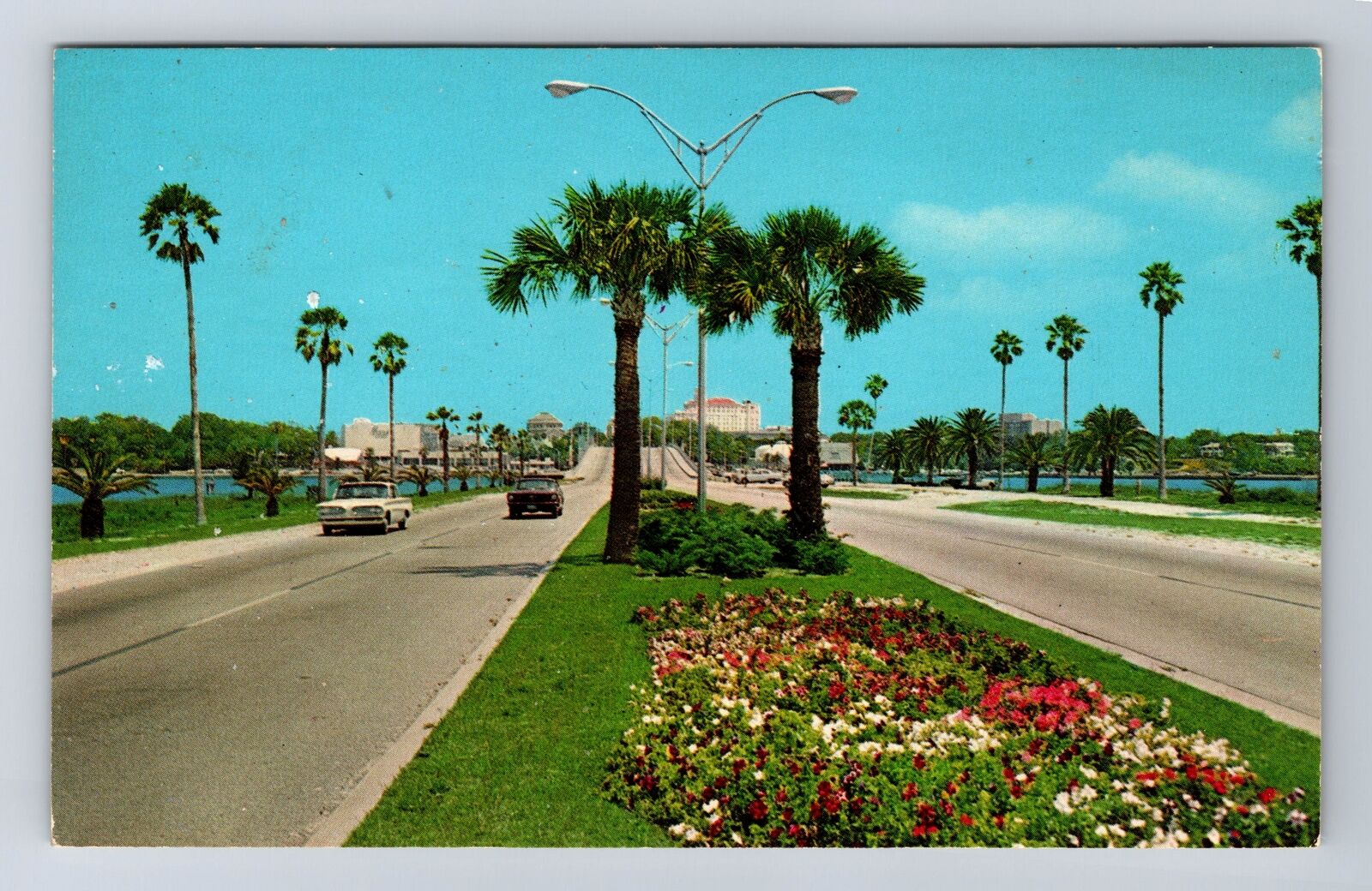 Clearwater FL-Florida, Flowers and Palm Lined Causeway, Vintage Postcard