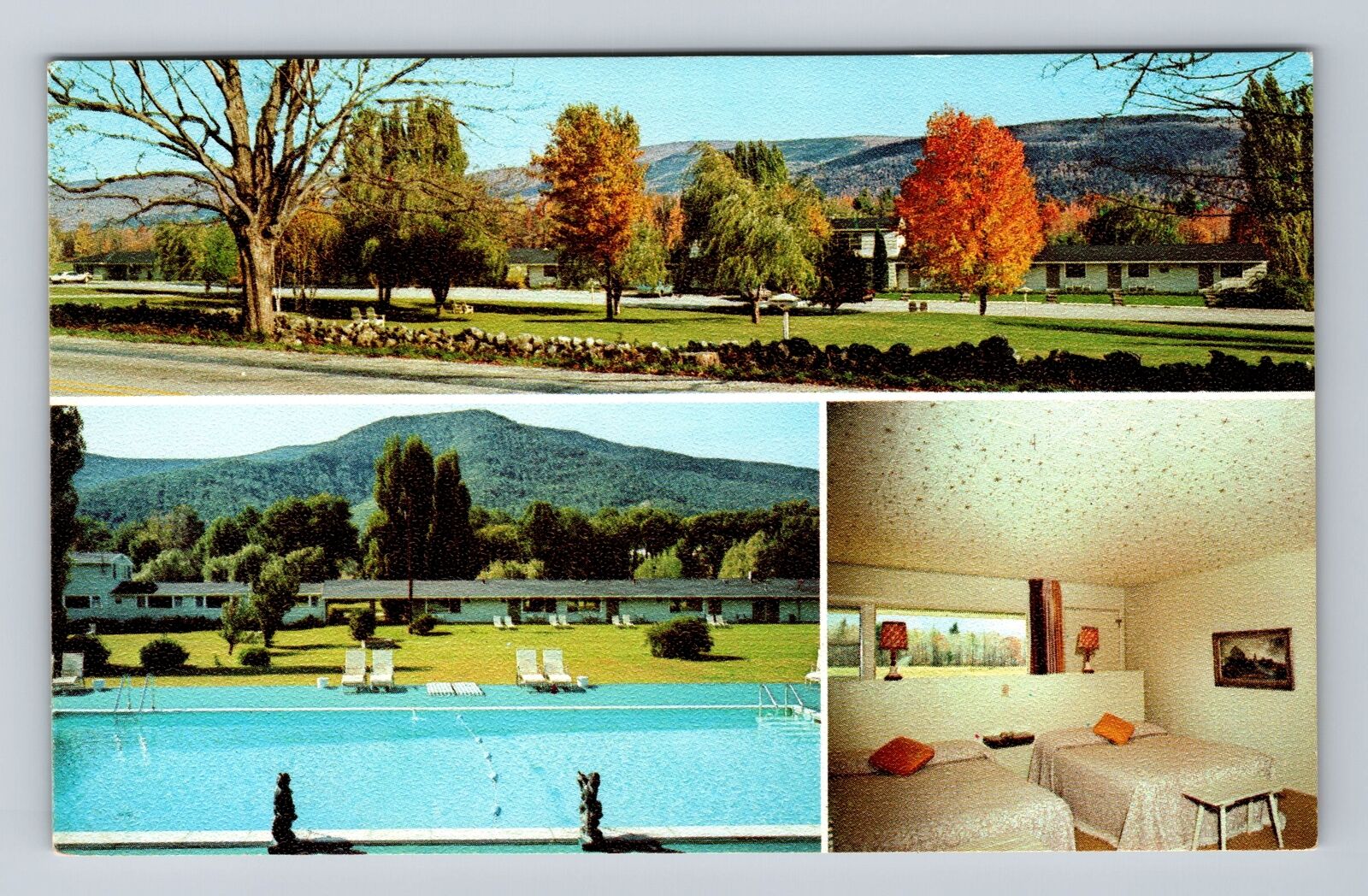 Manchester VT-Vermont, Weathervane Motel, Advertising, Antique Vintage Postcard