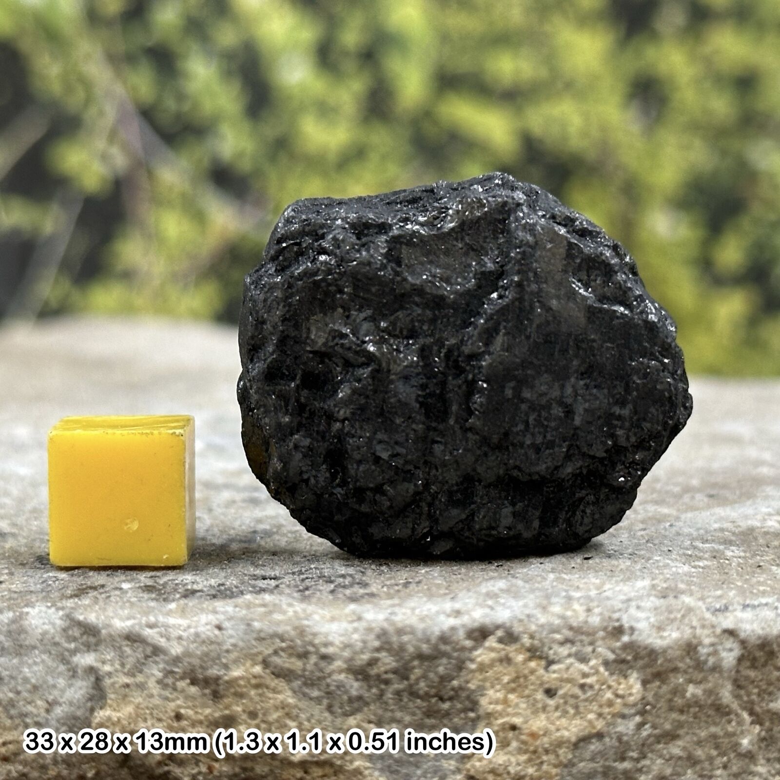Bituminous coal - uk education sedimentary rock, authentic, uk seller