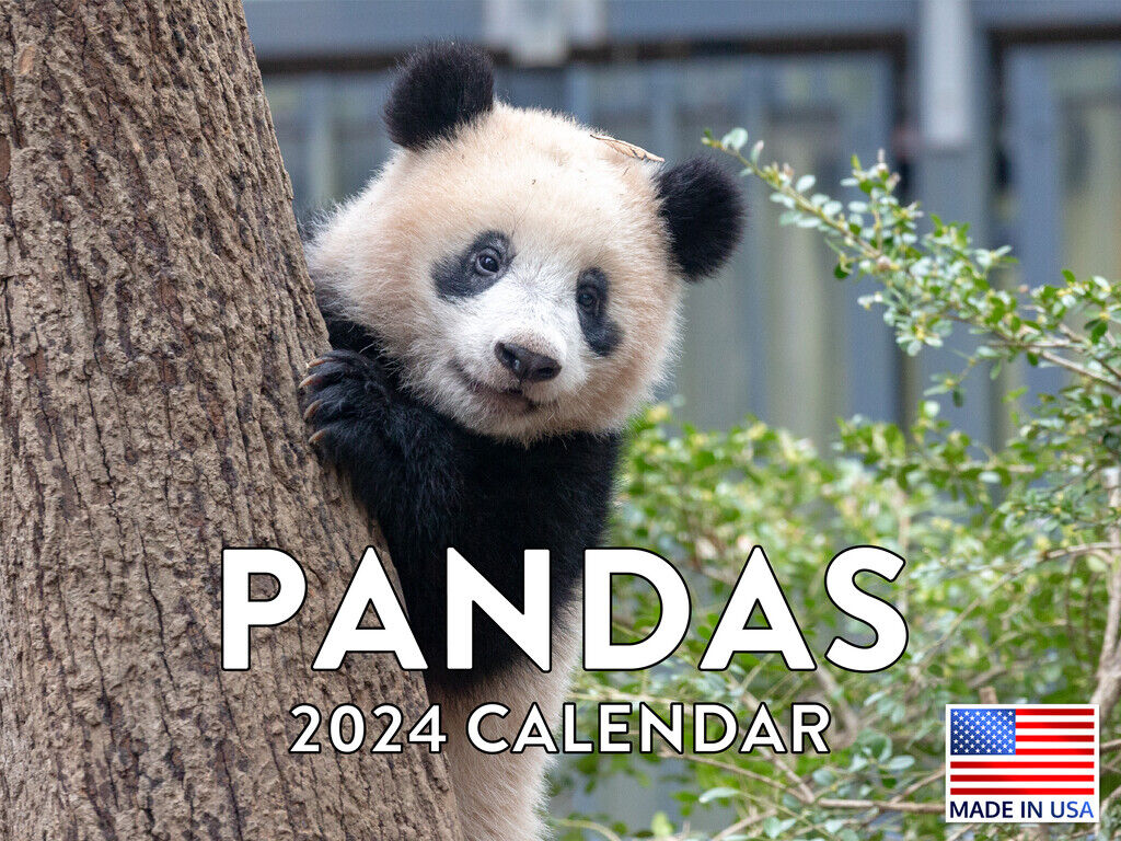 Panda Calender Gifts 2024 Wall Calendar