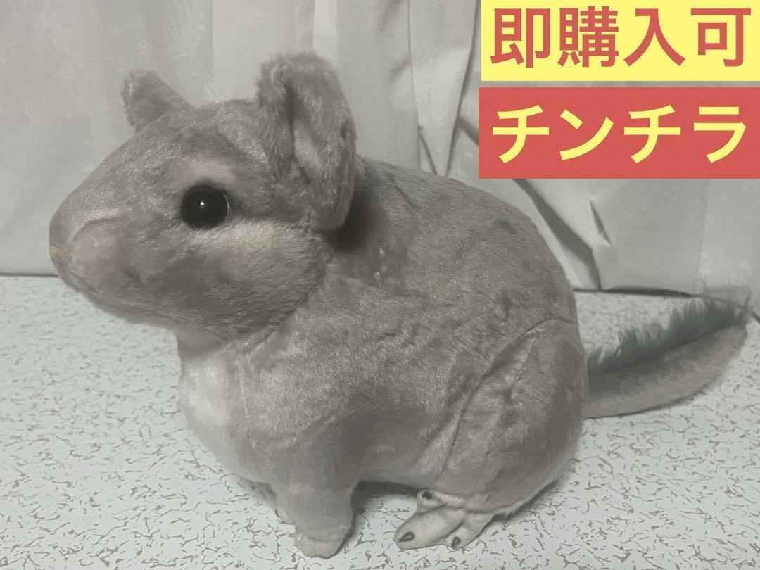 Novelty Real Animals Chinchilla Plush Toy Grayish Beige japan