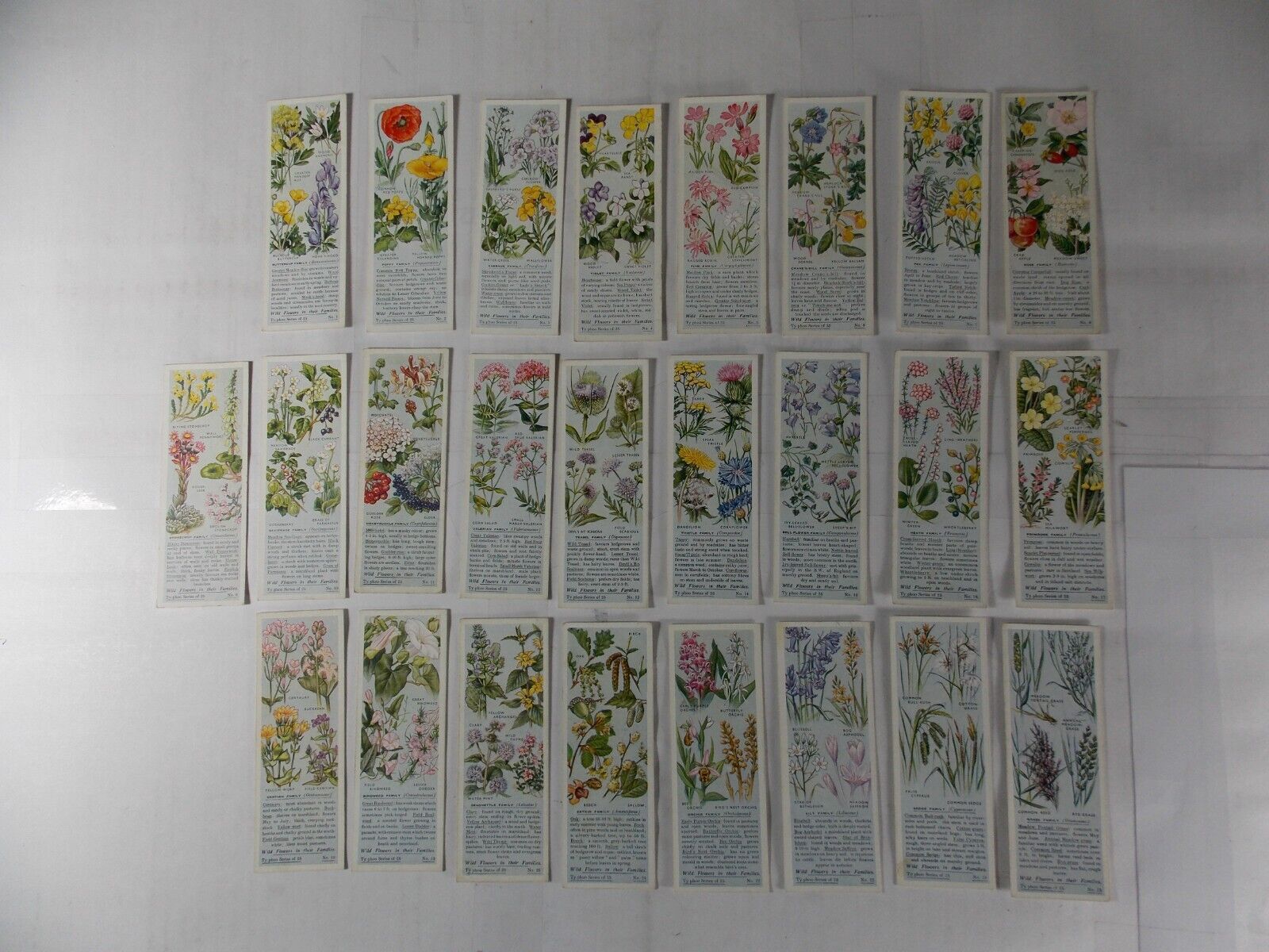 Typhoo Tea Cards Wild Flowers in their Families 1st Series 1935 Complete Set 25
