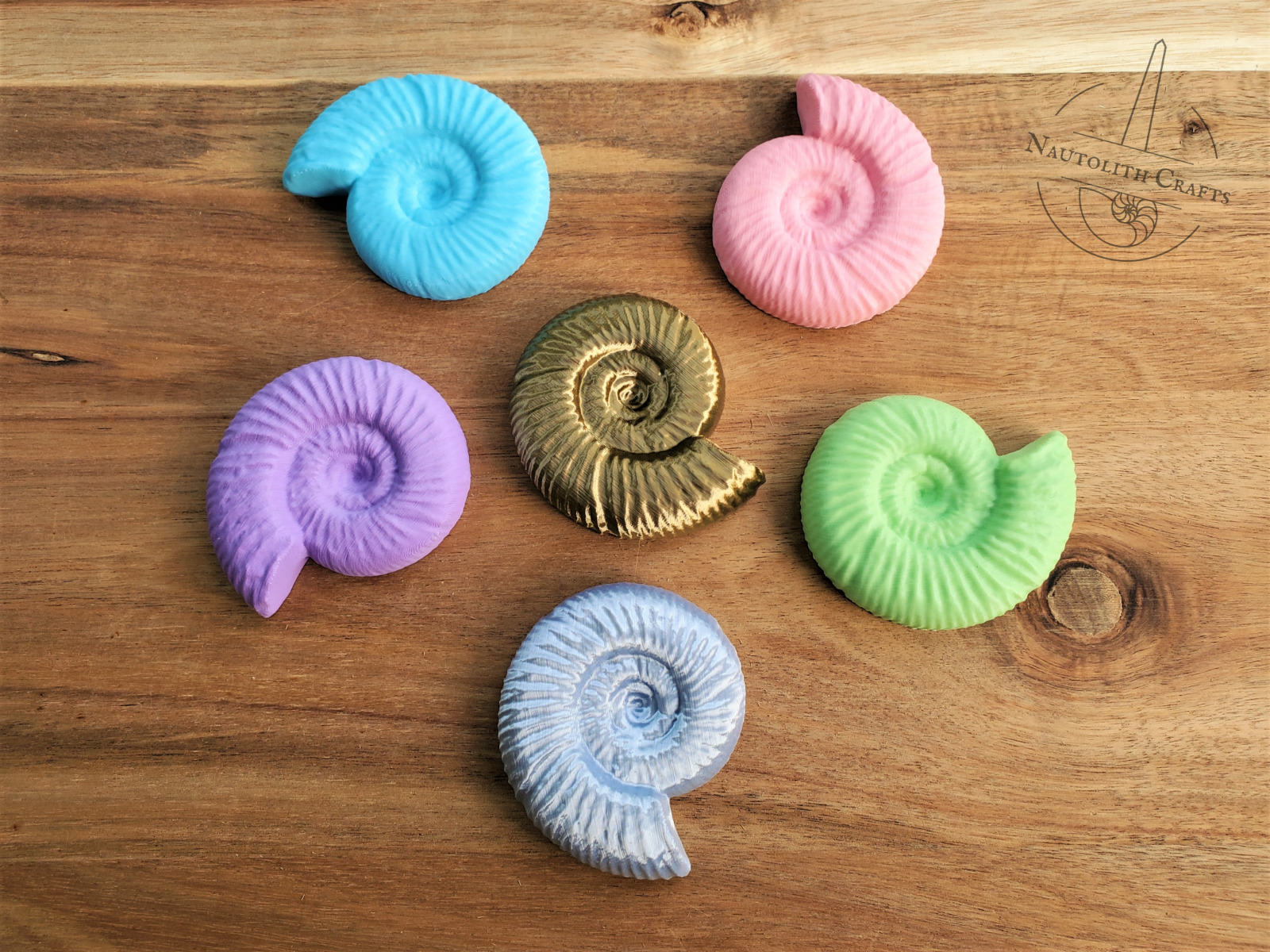 Ammonite Shell Fossil Magnet - Ancient Nautilus Replica Fridge Sea Decor Gift
