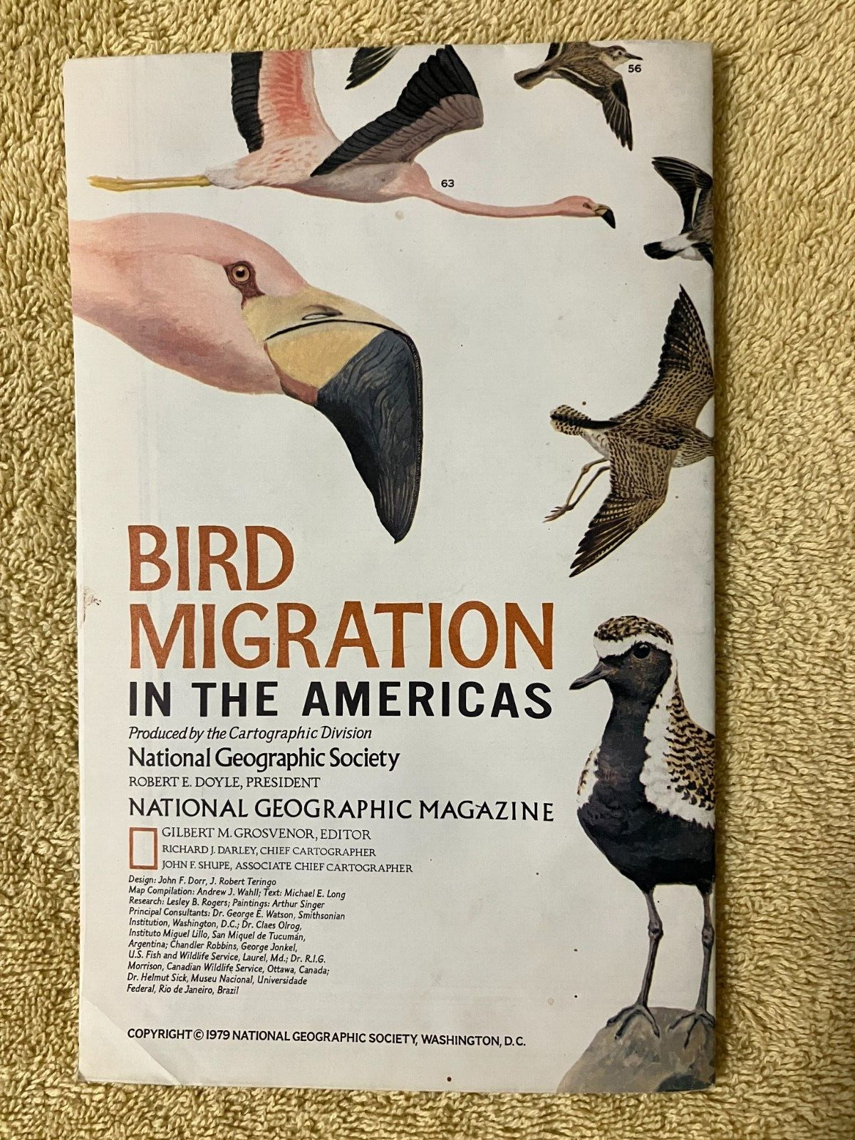 1979 Bird Migration Map From National Geographic Society Preowned