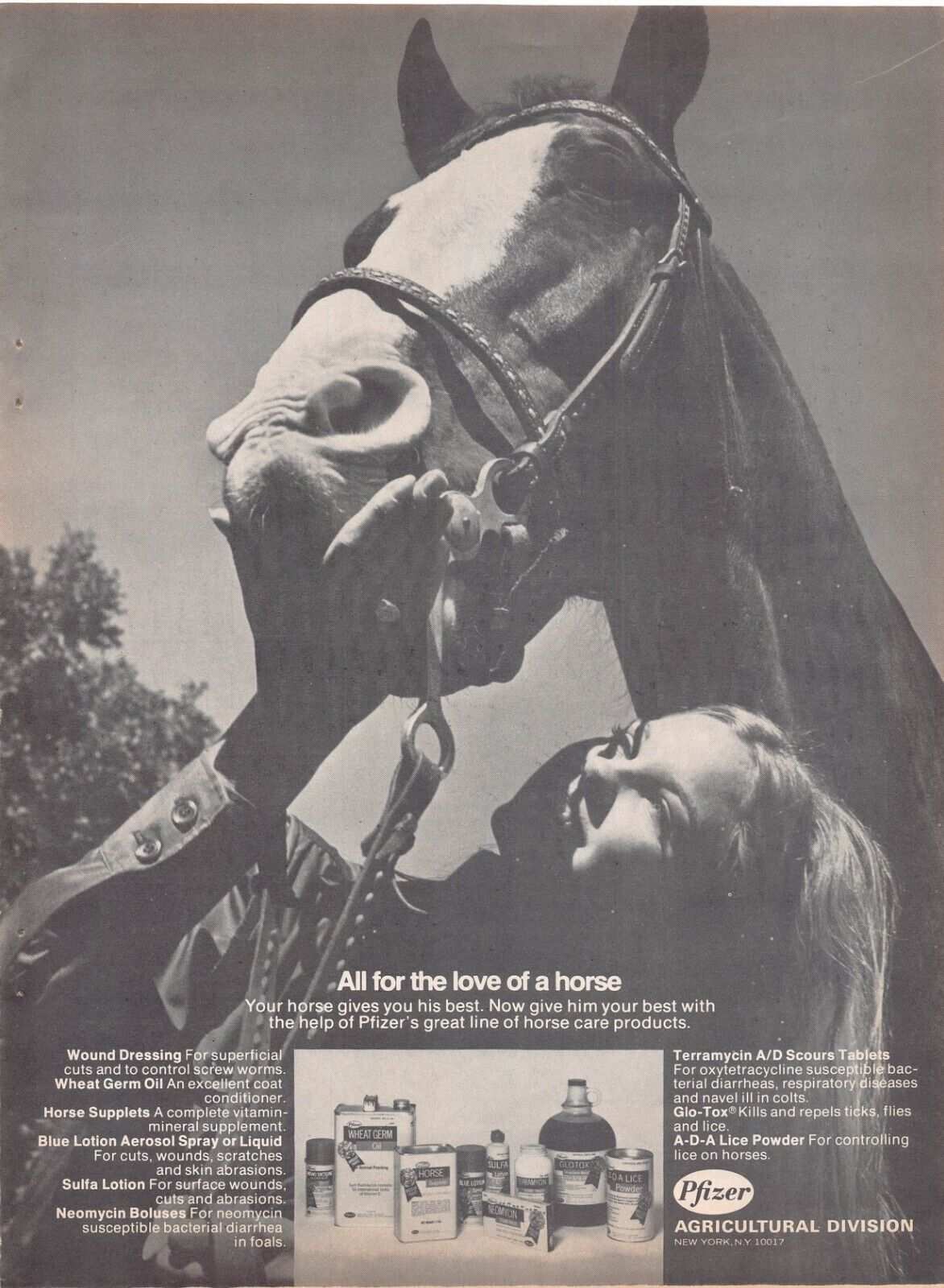 Pfizer Agricultural Division Horse Supplies Vtg Magazine Print Ad Promotional