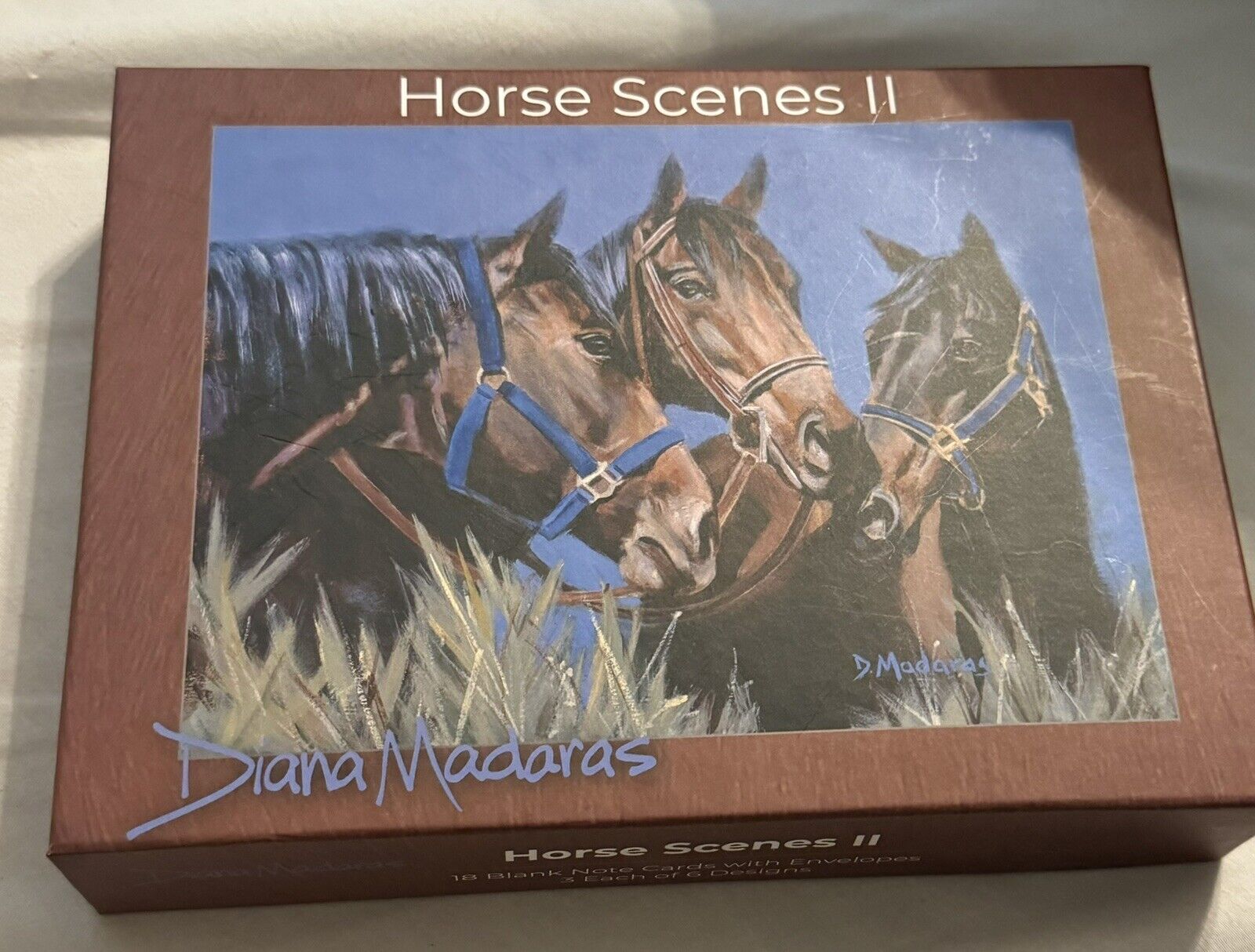 Diana Madaras Tucson Arizona Artist Horse Scences II Blank Notecards Southwest