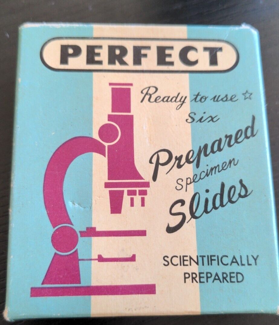 Vintage Perfect Ready To Use Prepared Specimen Slides Varieties Of Bacteria 1x3 