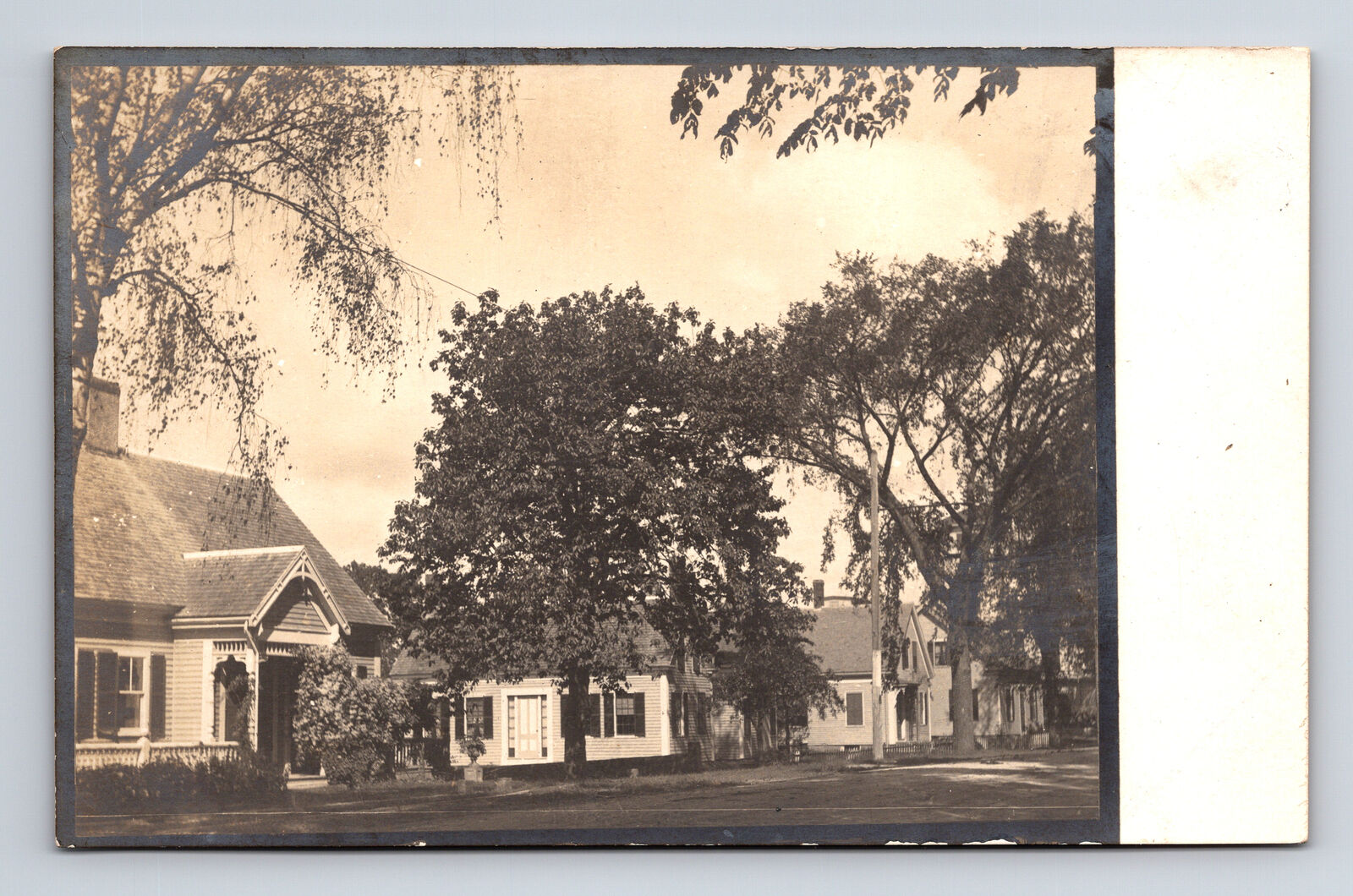 RPPC Unknown Tree Lined Street Houses Postcard