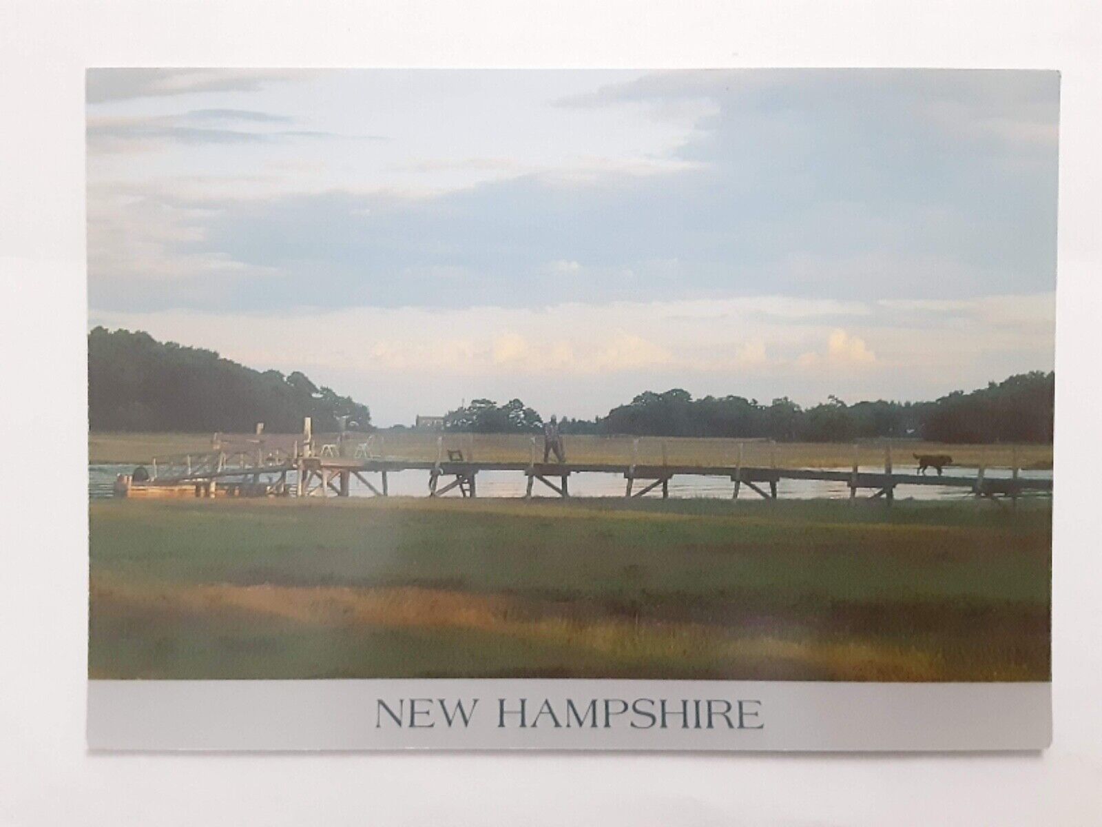 Postcard Wetlands Way Of Life Portsmouth New Hampshire 