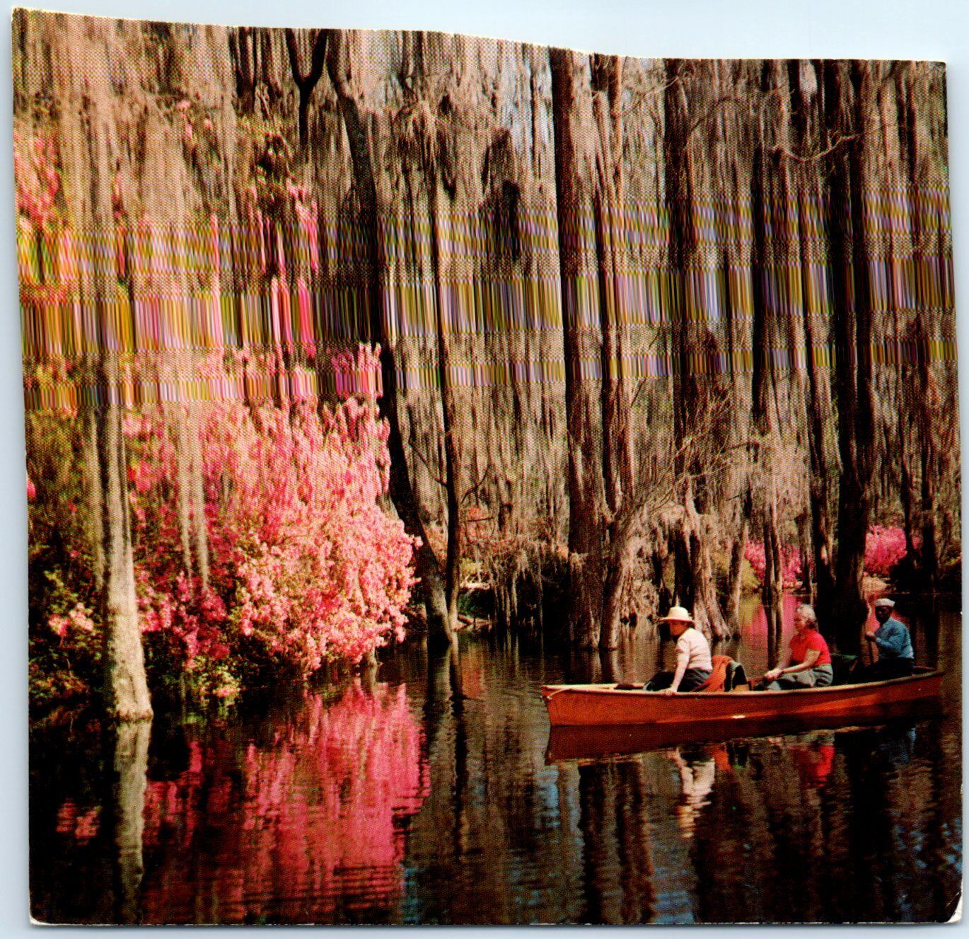 Postcard - Cypress Gardens - Moncks Corner, South Carolina