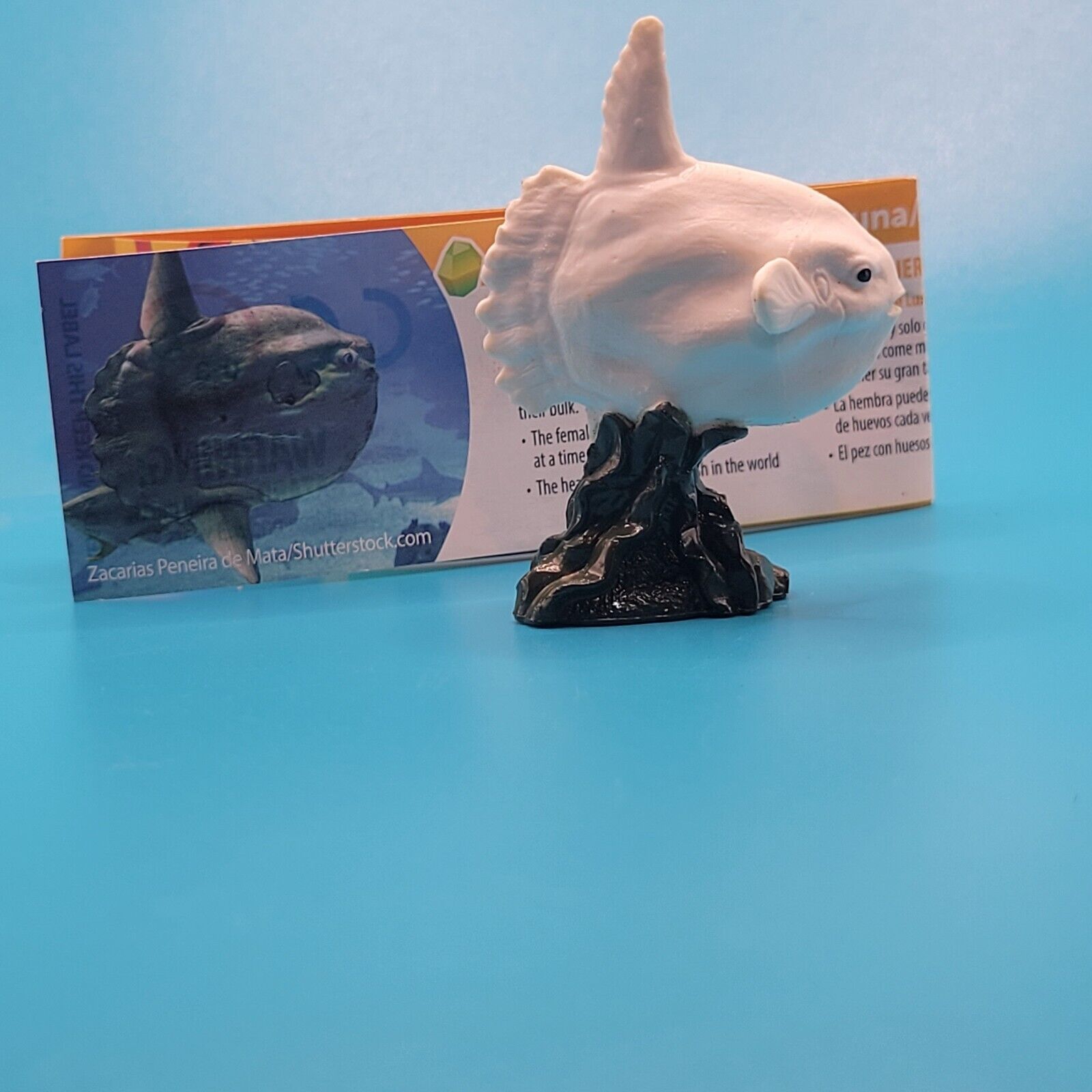 Yowie E2 Ocean Small Sunfish Toy Animal Figurine Wild Water Series Collectible
