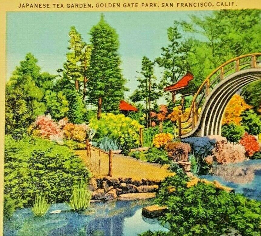 Vintage San Francisco Postcard Japanese Tea Garden Golden Gate Park Post Card