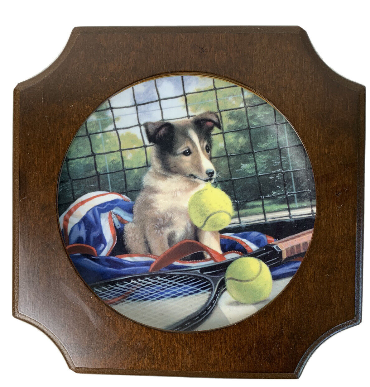 Net Play Tennis Plate Good Sports Jim Lamb Collie Dog USA Patriotic Collect 7283