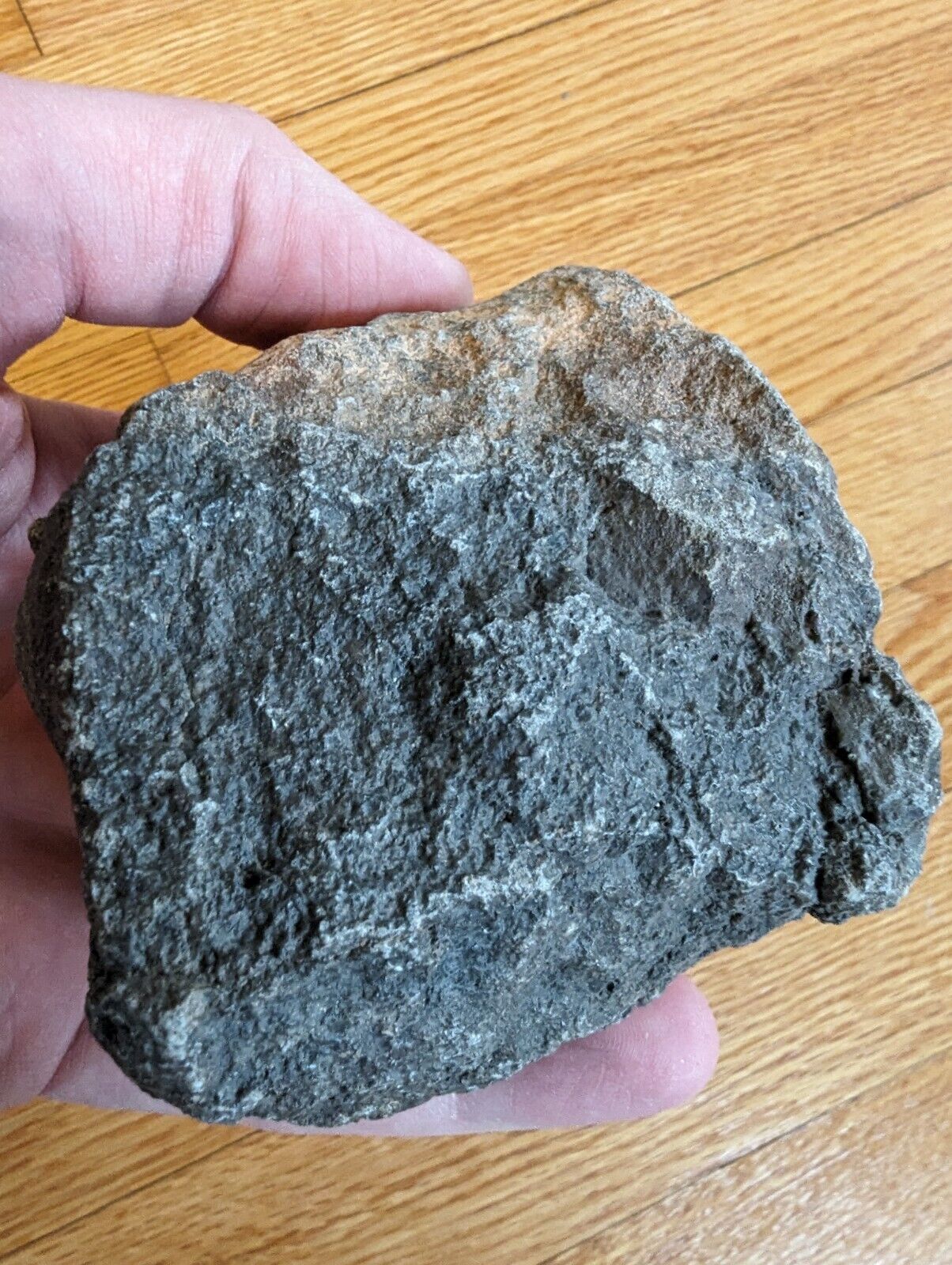 Jikharra 001 Eucrite Melt Breccia Meteorite - Asteroid Vesta - 717g 