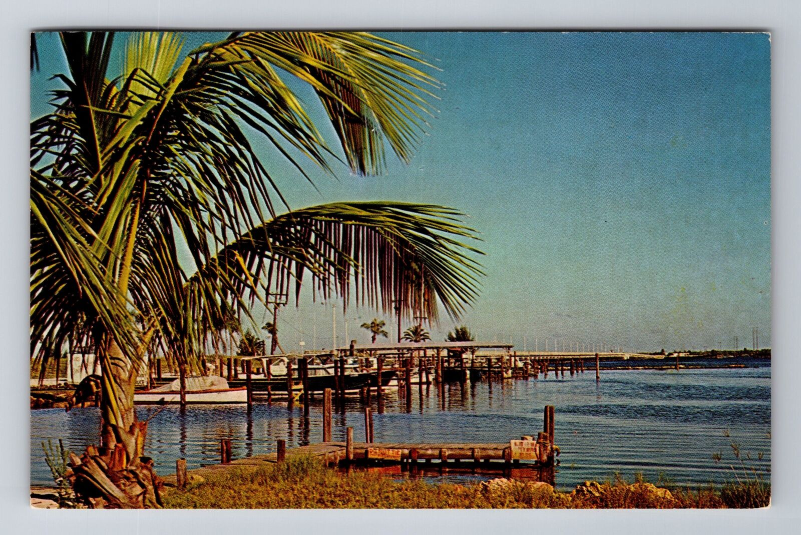 Punta Gorda FL-Florida, Yacht Basin On The Peace River, Vintage c1967 Postcard