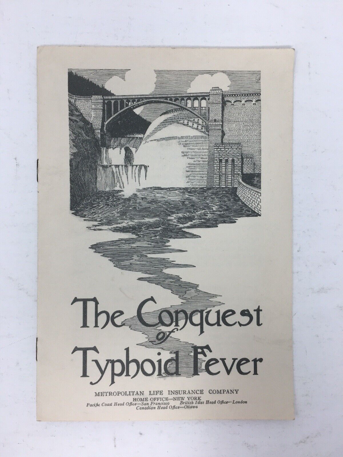 The Conquest of Typhoid Fever Metropolitan Life Insurance Information Booklet