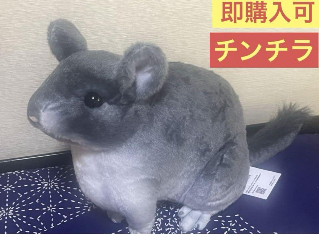 Novelty Real Animals Chinchilla Plush Toy Dark Gray 2 japan