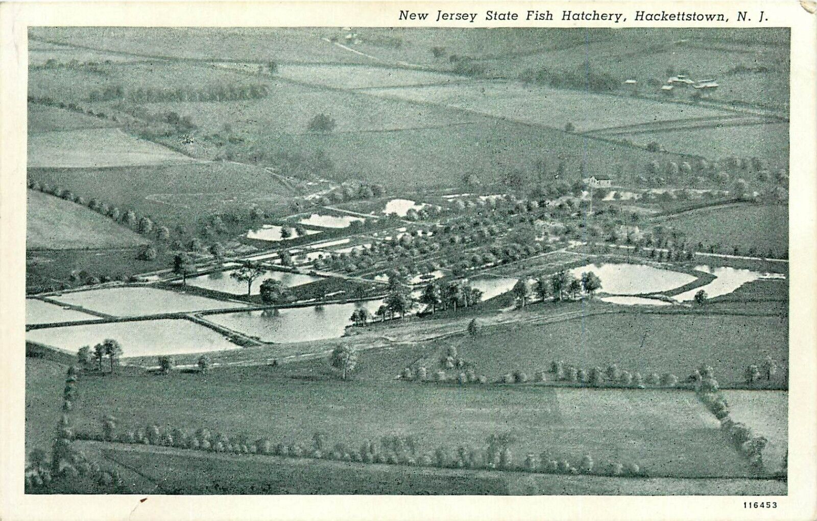New Jersey State Fish Hatchery Hackettsown NJ pm 1939 Postcard