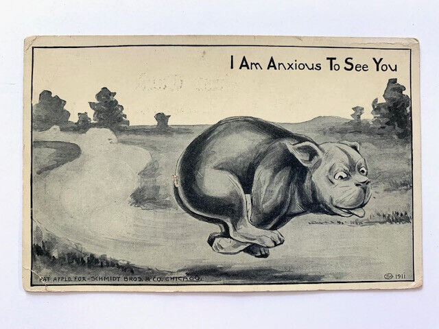  Vintage Postcard, Dog run, I Am Anxious To See You, Schmidt Bros 1911, Divided