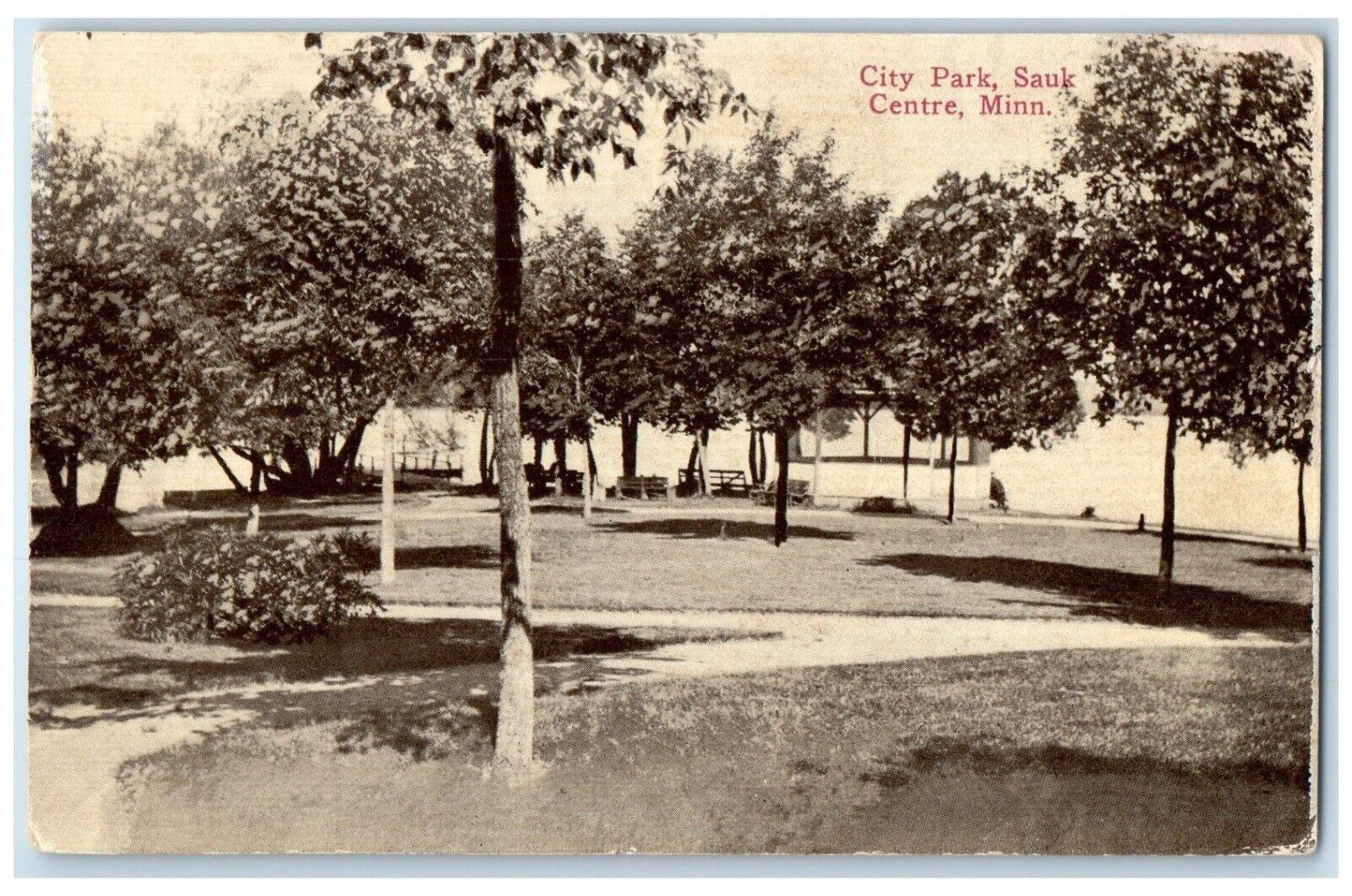 1912 View Of City Park And Trees Sauk Centre Minnesota MN Antique Postcard